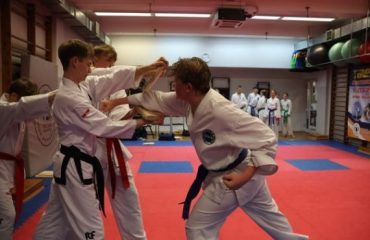 Egzamin na stopnie uczniowskie w Taekwon-do – czerwiec 2026r