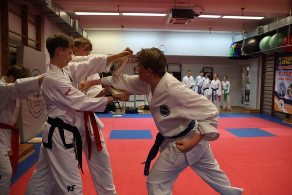 Egzamin na stopnie uczniowskie w Taekwon-do – czerwiec 2026r
